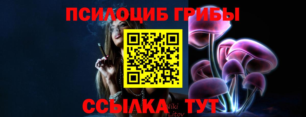Псилоцибиновые грибы Psilocybine cubensis Ачинск